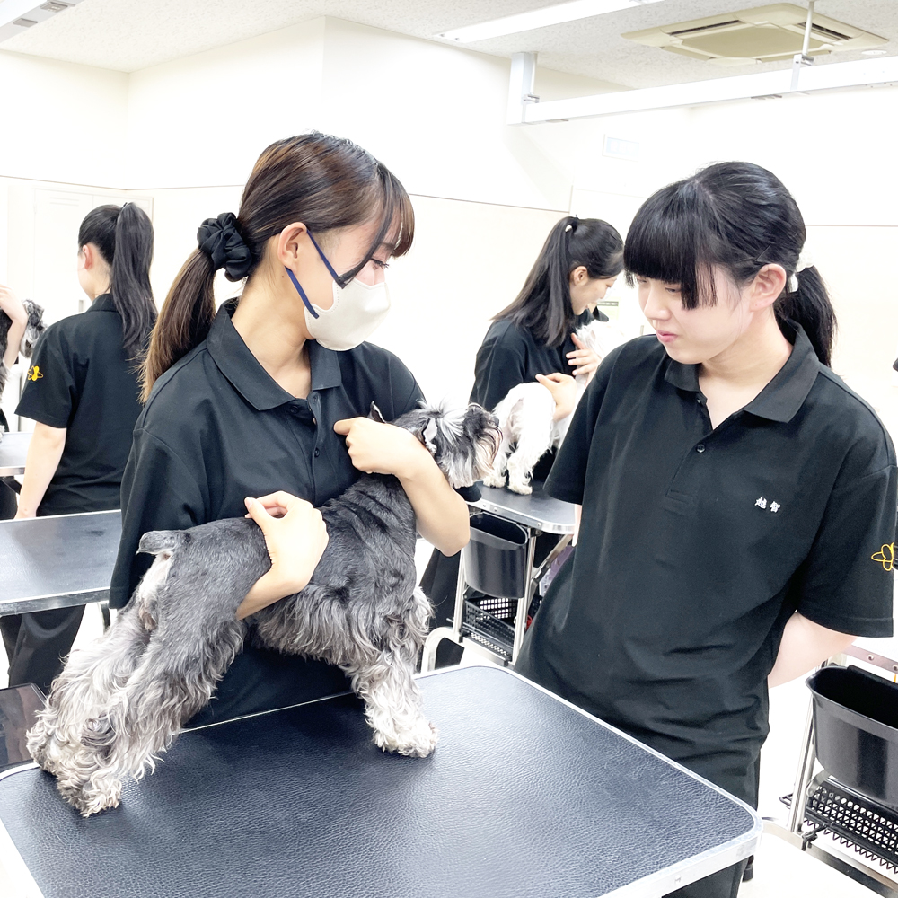 1年生の保定実習